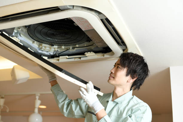 Best Home Air Vent Cleaning  in Mesquite, TX