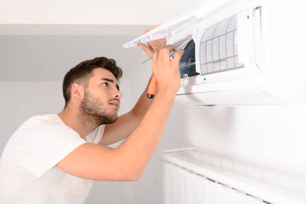 Best Air Duct Sanitizing Services  in Mesquite, TX